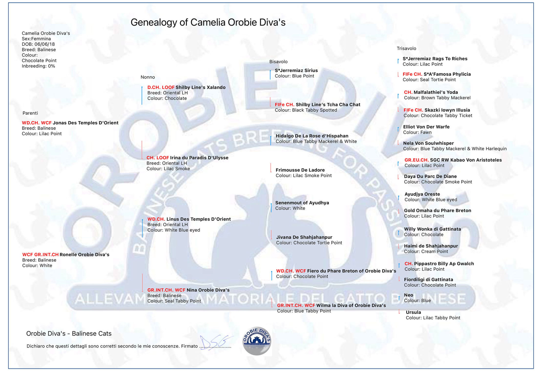 Camelia Orobie Diva's Genealogia